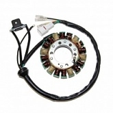 Статор генератора Elektrosport ESG871