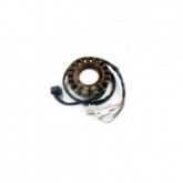 Статор генератора Electrex G435
