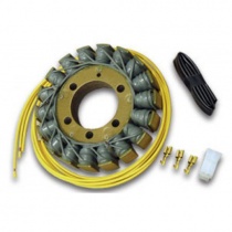 Статор генератора Electrex G54
