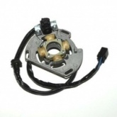 Статор генератора Elektrosport ESC221