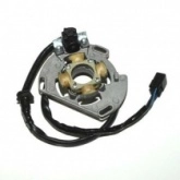 Статор генератора Elektrosport ESC221