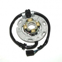 Статор генератора Elektrosport ESC390