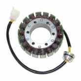 Статор генератора Elektrosport ESG060