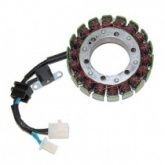 Статор генератора Elektrosport ESG076