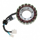 Статор генератора Elektrosport ESG076