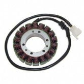 Статор генератора Elektrosport ESG087