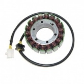 Статор генератора Elektrosport ESG089