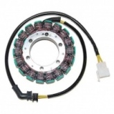 Статор генератора Elektrosport ESG092