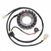 Статор генератора Elektrosport ESG097
