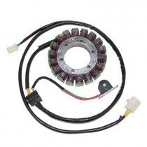 Статор генератора Elektrosport ESG097