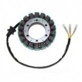 Статор генератора Elektrosport ESG098