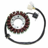 Статор генератора Elektrosport ESG143