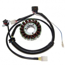 Статор генератора Elektrosport ESG163