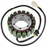 Статор генератора Elektrosport ESG254