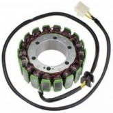 Статор генератора Elektrosport ESG254