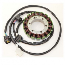 Статор генератора Elektrosport ESG310
