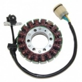 Статор генератора Elektrosport ESG366