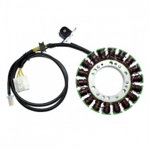 Статор генератора Elektrosport ESG371