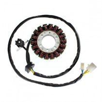 Статор генератора Elektrosport ESG385