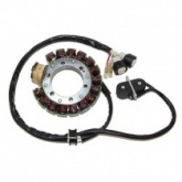 Статор генератора Elektrosport ESG431