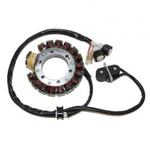 Статор генератора Elektrosport ESG431