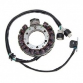 Статор генератора Elektrosport ESG432