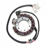 Статор генератора Elektrosport ESG434