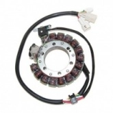 Статор генератора Elektrosport ESG434