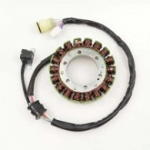Статор генератора Elektrosport ESG437