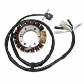 Статор генератора Elektrosport ESG443