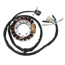 Статор генератора Elektrosport ESG443