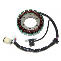 Статор генератора Elektrosport ESG479