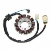 Статор генератора Elektrosport ESG482