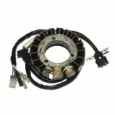 Статор генератора Elektrosport ESG490