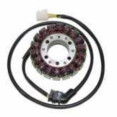 Статор генератора Elektrosport ESG525