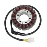 Статор генератора Elektrosport ESG528