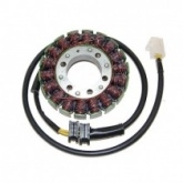 Статор генератора Elektrosport ESG542