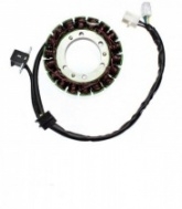 Статор генератора Elektrosport ESG545