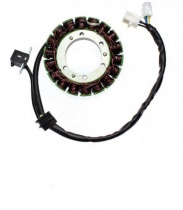 Статор генератора Elektrosport ESG545