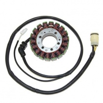 Статор генератора Elektrosport ESG591