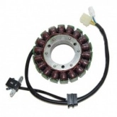 Статор генератора Elektrosport ESG646