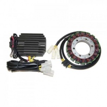 Статор генератора Elektrosport ESG691