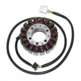 Статор генератора Elektrosport ESG702