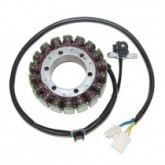 Статор генератора Elektrosport ESG703