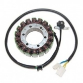 Статор генератора Elektrosport ESG703