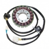 Статор генератора Elektrosport ESG731