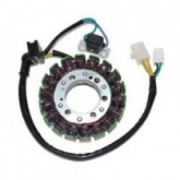 Статор генератора Elektrosport ESG739