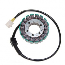 Статор генератора Elektrosport ESG741