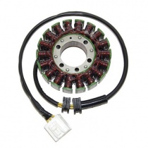 Статор генератора Elektrosport ESG746