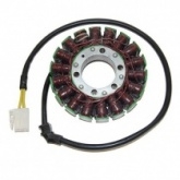 Статор генератора Elektrosport ESG753